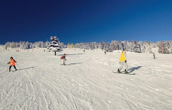 Alkoclar Chalet Hotel Bursa Luaran gambar